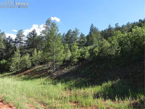 Photo of 8117 Acoma Drive, Larkspur, CO 80118 (MLS # 1529159)
