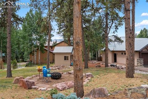 Tiny photo for 591 Skyline Drive, Woodland Park, CO 80863 (MLS # 1287139)