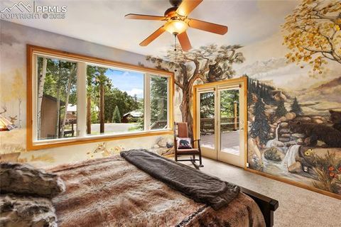 Tiny photo for 591 Skyline Drive, Woodland Park, CO 80863 (MLS # 1287139)