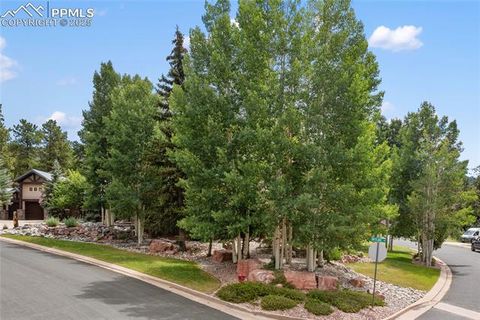 Tiny photo for 591 Skyline Drive, Woodland Park, CO 80863 (MLS # 1287139)