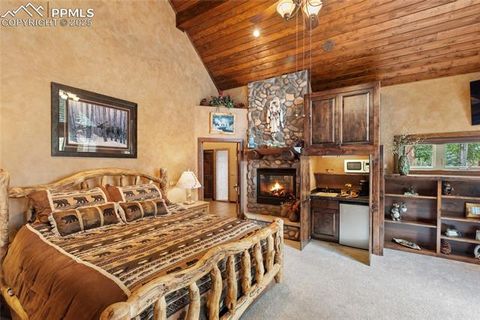 Tiny photo for 591 Skyline Drive, Woodland Park, CO 80863 (MLS # 1287139)