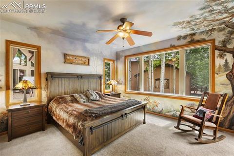 Tiny photo for 591 Skyline Drive, Woodland Park, CO 80863 (MLS # 1287139)