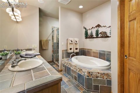 Tiny photo for 591 Skyline Drive, Woodland Park, CO 80863 (MLS # 1287139)