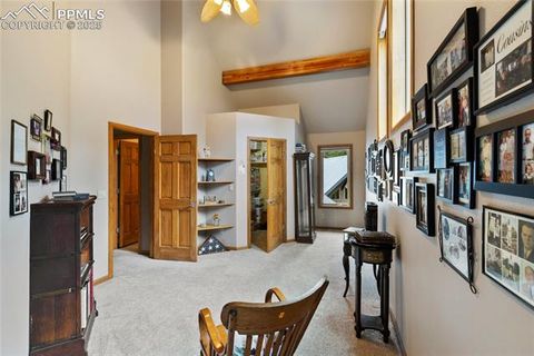 Tiny photo for 591 Skyline Drive, Woodland Park, CO 80863 (MLS # 1287139)