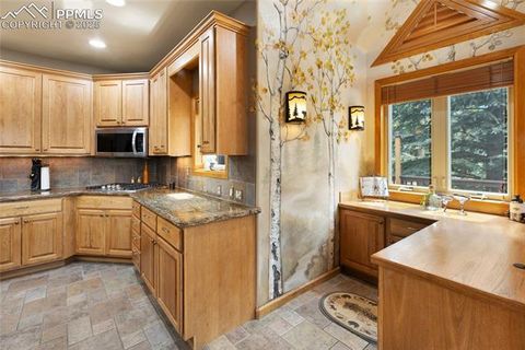 Tiny photo for 591 Skyline Drive, Woodland Park, CO 80863 (MLS # 1287139)