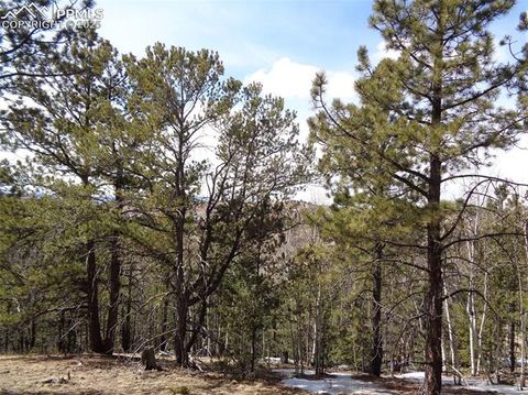 Photo of 877 Princess Road, Cripple Creek, CO 80813 (MLS # 3117025)