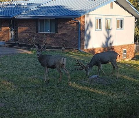 Tiny photo for 175 Piney Point Lane, Woodland Park, CO 80863 (MLS # 3188755)