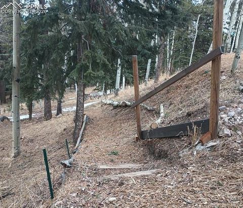 Tiny photo for 175 Piney Point Lane, Woodland Park, CO 80863 (MLS # 3188755)