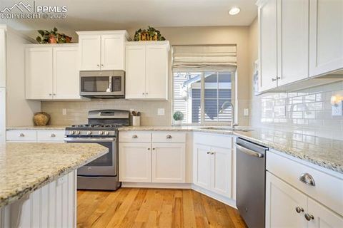 Tiny photo for 6527 Bramble Bend Court, Colorado Springs, CO 80927 (MLS # 8244420)