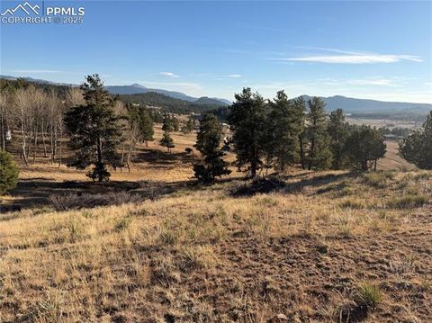 Photo of 71 Elkhorn Circle, Florissant, CO 80816 (MLS # 7110659)