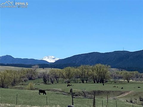 11001 Spruce Mountain Road Larkspur CO 80118