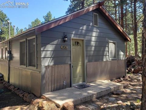 Photo of 706 W Bowman Avenue, Woodland Park, CO 80863 (MLS # 4354610)