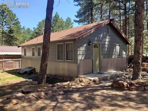 Tiny photo for 706 W Bowman Avenue, Woodland Park, CO 80863 (MLS # 4354610)
