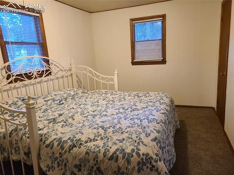 Tiny photo for 706 W Bowman Avenue, Woodland Park, CO 80863 (MLS # 4354610)