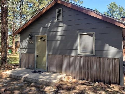 Tiny photo for 706 W Bowman Avenue, Woodland Park, CO 80863 (MLS # 4354610)