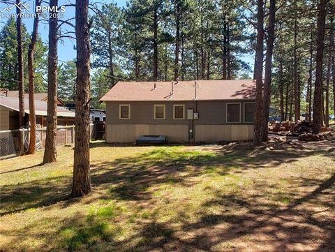 Tiny photo for 706 W Bowman Avenue, Woodland Park, CO 80863 (MLS # 4354610)