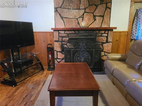 Tiny photo for 706 W Bowman Avenue, Woodland Park, CO 80863 (MLS # 4354610)