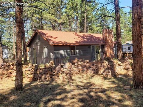 Tiny photo for 706 W Bowman Avenue, Woodland Park, CO 80863 (MLS # 4354610)