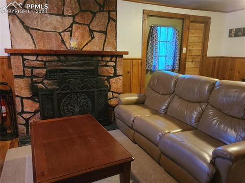 Tiny photo for 706 W Bowman Avenue, Woodland Park, CO 80863 (MLS # 4354610)