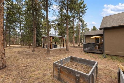 Tiny photo for 1326 Firestone Drive, Woodland Park, CO 80863 (MLS # 3030669)