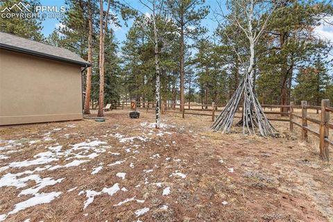 Tiny photo for 1326 Firestone Drive, Woodland Park, CO 80863 (MLS # 3030669)