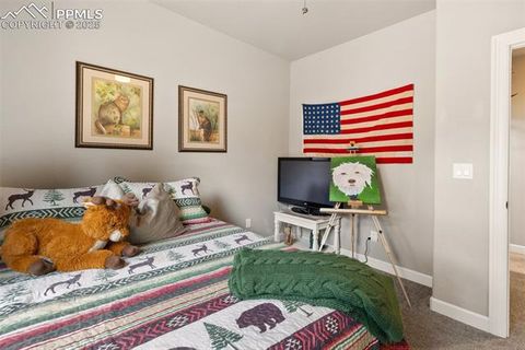 Tiny photo for 1326 Firestone Drive, Woodland Park, CO 80863 (MLS # 3030669)