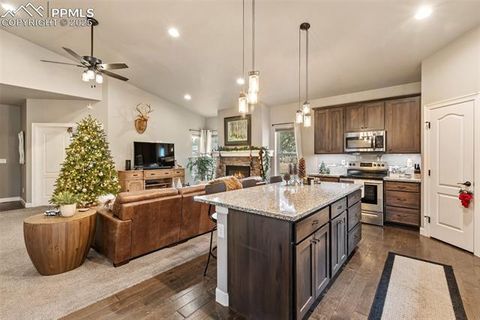 Tiny photo for 1326 Firestone Drive, Woodland Park, CO 80863 (MLS # 3030669)