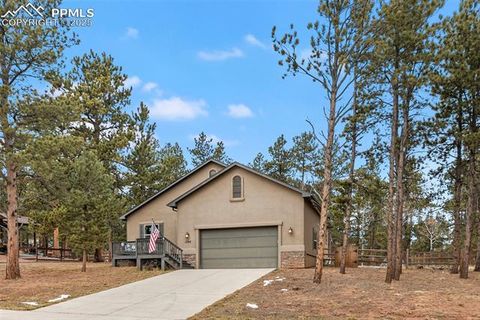 Tiny photo for 1326 Firestone Drive, Woodland Park, CO 80863 (MLS # 3030669)