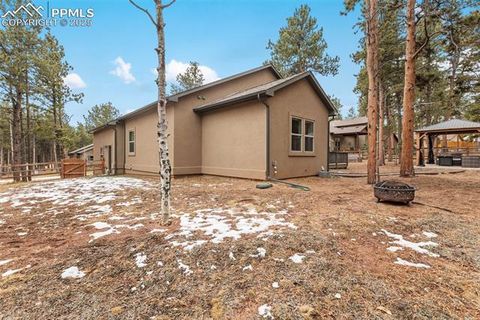 Tiny photo for 1326 Firestone Drive, Woodland Park, CO 80863 (MLS # 3030669)
