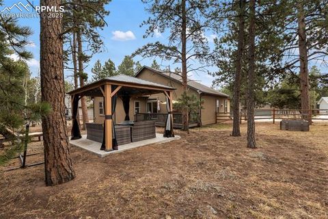 Tiny photo for 1326 Firestone Drive, Woodland Park, CO 80863 (MLS # 3030669)