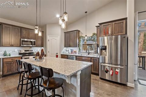 Tiny photo for 1326 Firestone Drive, Woodland Park, CO 80863 (MLS # 3030669)