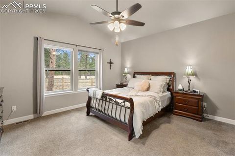 Tiny photo for 1326 Firestone Drive, Woodland Park, CO 80863 (MLS # 3030669)