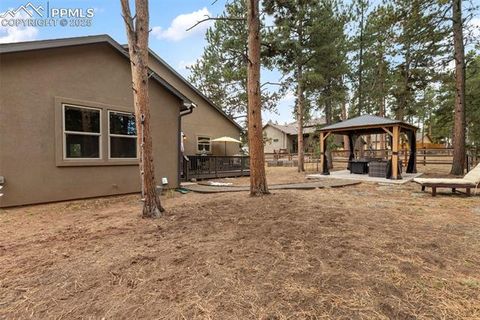 Tiny photo for 1326 Firestone Drive, Woodland Park, CO 80863 (MLS # 3030669)