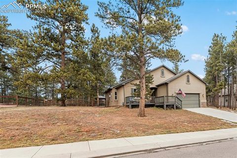 Tiny photo for 1326 Firestone Drive, Woodland Park, CO 80863 (MLS # 3030669)