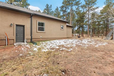 Tiny photo for 1326 Firestone Drive, Woodland Park, CO 80863 (MLS # 3030669)