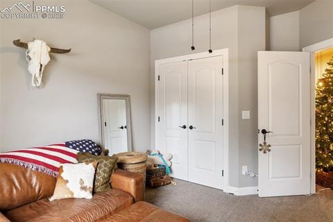 Tiny photo for 1326 Firestone Drive, Woodland Park, CO 80863 (MLS # 3030669)