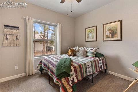 Tiny photo for 1326 Firestone Drive, Woodland Park, CO 80863 (MLS # 3030669)