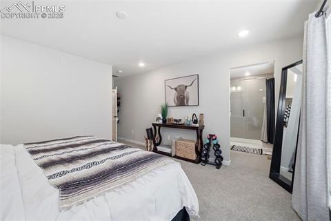 Tiny photo for 3498 Bivy Point, Colorado Springs, CO 80907 (MLS # 3743021)