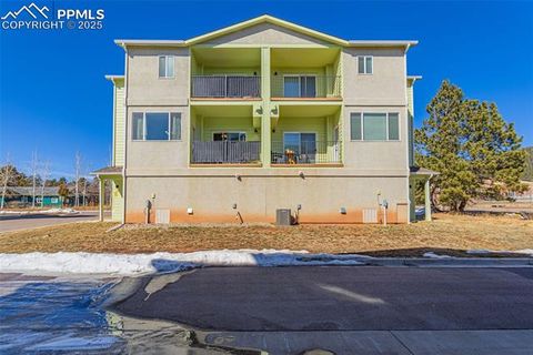 Tiny photo for 560 E Grace Avenue, Woodland Park, CO 80863 (MLS # 2723361)