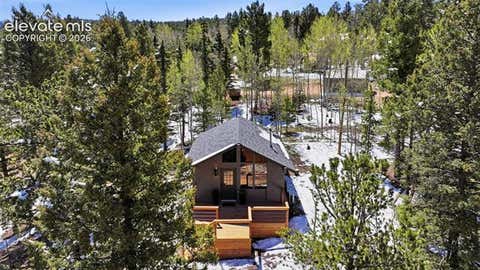Tiny photo for 747 Trout Haven Road, Florissant, CO 80816 (MLS # 2358482)