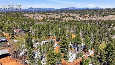 Tiny photo for 747 Trout Haven Road, Florissant, CO 80816 (MLS # 2358482)