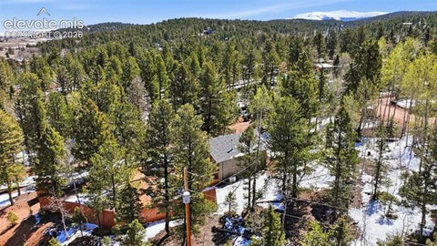 Tiny photo for 747 Trout Haven Road, Florissant, CO 80816 (MLS # 2358482)