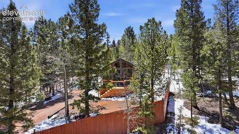 Tiny photo for 747 Trout Haven Road, Florissant, CO 80816 (MLS # 2358482)