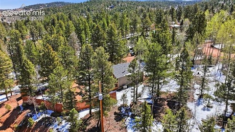 Tiny photo for 747 Trout Haven Road, Florissant, CO 80816 (MLS # 2358482)