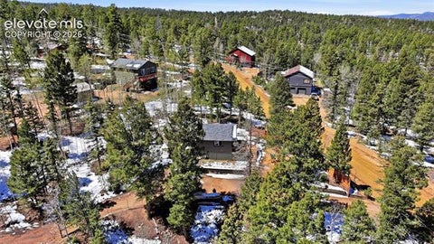 Tiny photo for 747 Trout Haven Road, Florissant, CO 80816 (MLS # 2358482)