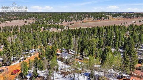 Tiny photo for 747 Trout Haven Road, Florissant, CO 80816 (MLS # 2358482)