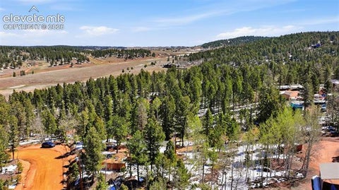 Tiny photo for 747 Trout Haven Road, Florissant, CO 80816 (MLS # 2358482)