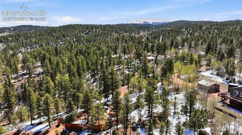 Tiny photo for 747 Trout Haven Road, Florissant, CO 80816 (MLS # 2358482)