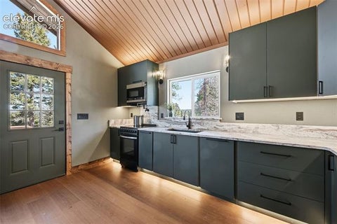 Tiny photo for 747 Trout Haven Road, Florissant, CO 80816 (MLS # 2358482)