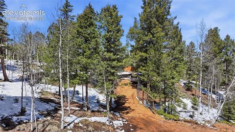 Tiny photo for 747 Trout Haven Road, Florissant, CO 80816 (MLS # 2358482)